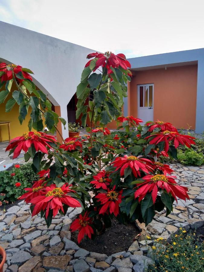 Bed and Breakfast Casa Alcindo Portela Exterior foto